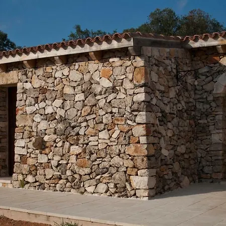 Affascinante Grande Liama Antica
