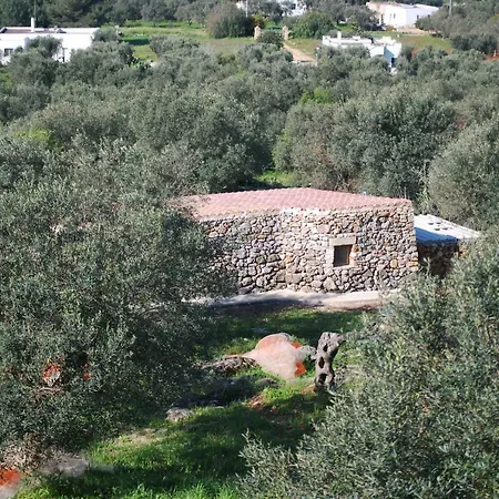 Affascinante Grande Liama Antica